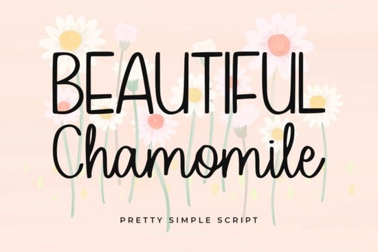 Beautiful Chamomile Font